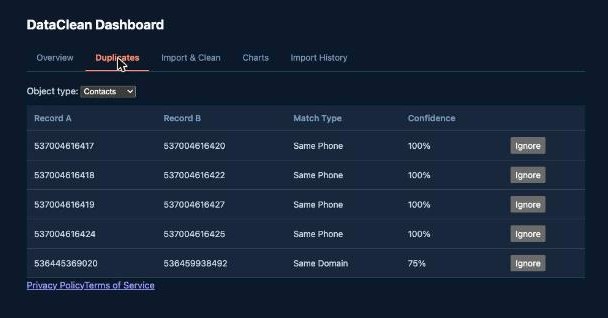 DataClean duplicates list showing detected pairs with match type and confidence score