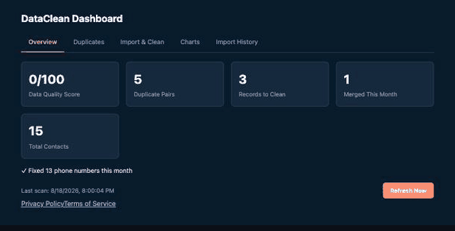 Duplicates list showing detected pairs with match type and confidence
